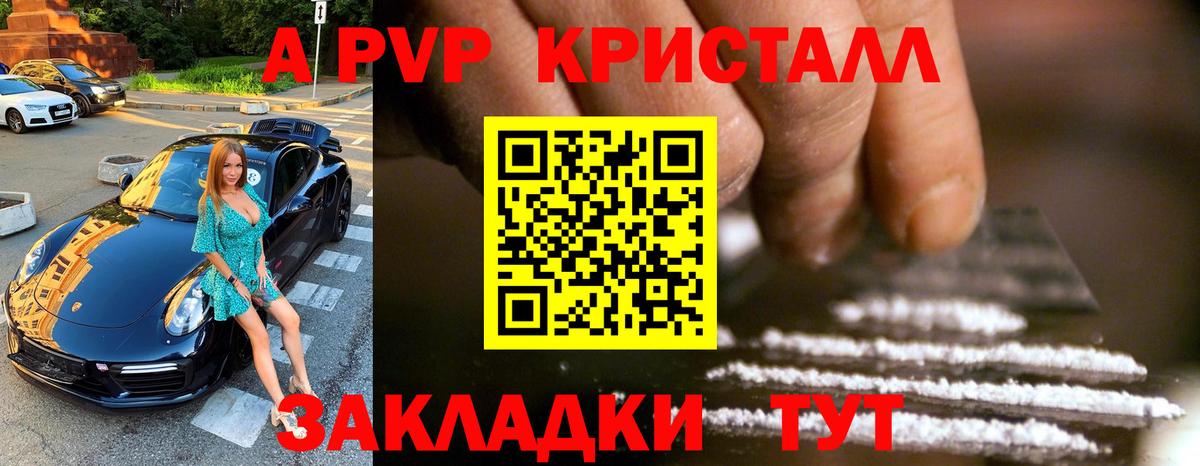Альфа ПВП СК КРИС Кандалакша