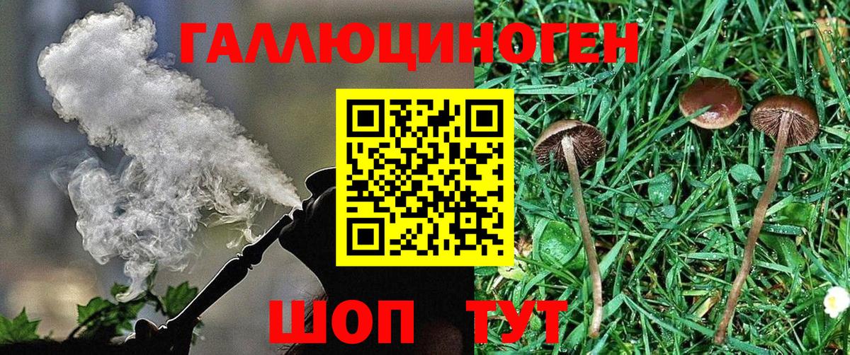 Кандалакша  Псилоцибиновые грибы GOLDEN TEACHER  продажа наркотиков  Галлюциногенные грибы Psilocybe  Вход с VPN 