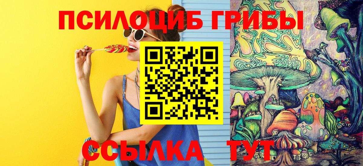 Галлюциногенные грибы Psilocybine cubensis Кандалакша